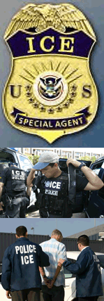 Recent ICE Enforcement Actions